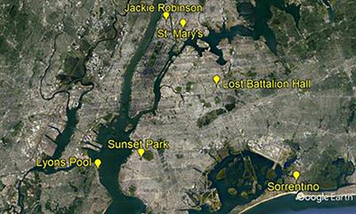 Small Urban Green Roof Plots Near Larger Green Spaces May Not Provide Additional Habitat for Birds